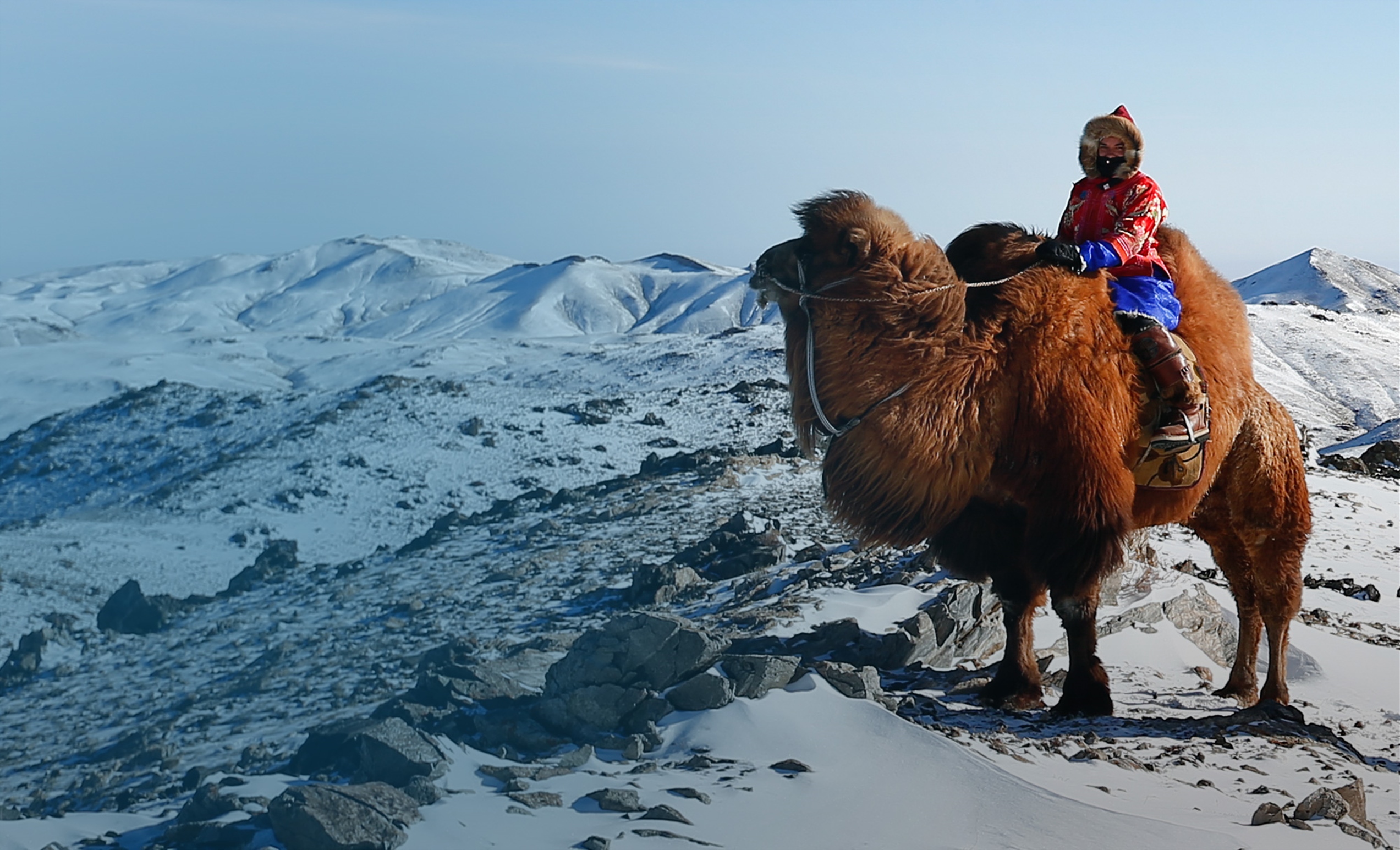 Cold Camel Expedition Follow Kelly Wilsons’ adventures on her wild ride across the Gobi Desert